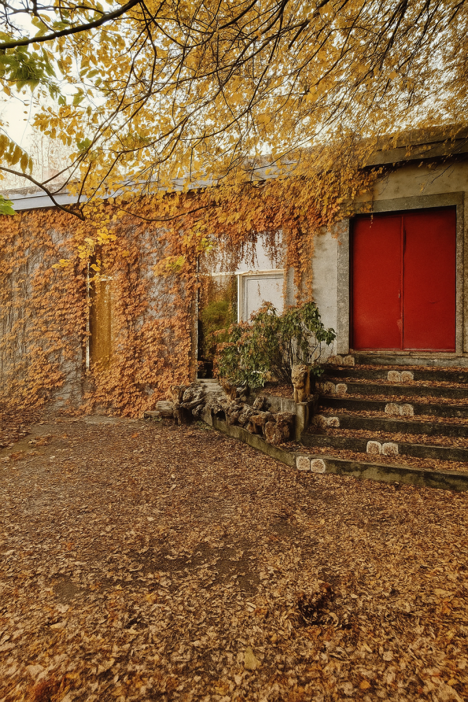 Red door and ivy-covered wall in GPT Museum